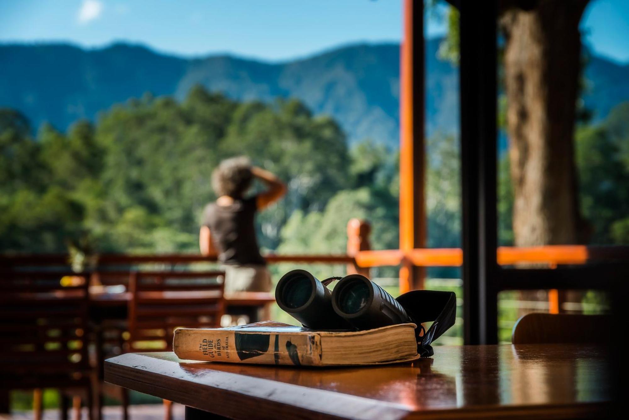 Villa Promised Land Retreat Bellingen Zimmer foto
